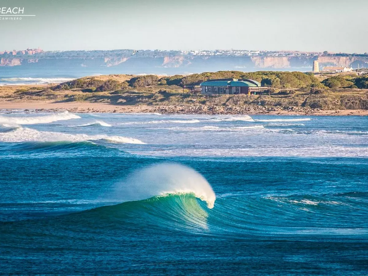 palmar surf