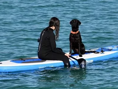 curso sup tarifa