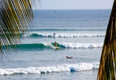 olas surf tarifa