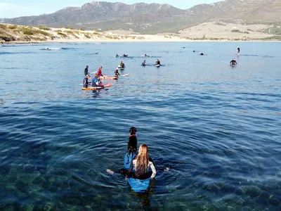 surfing tarifa